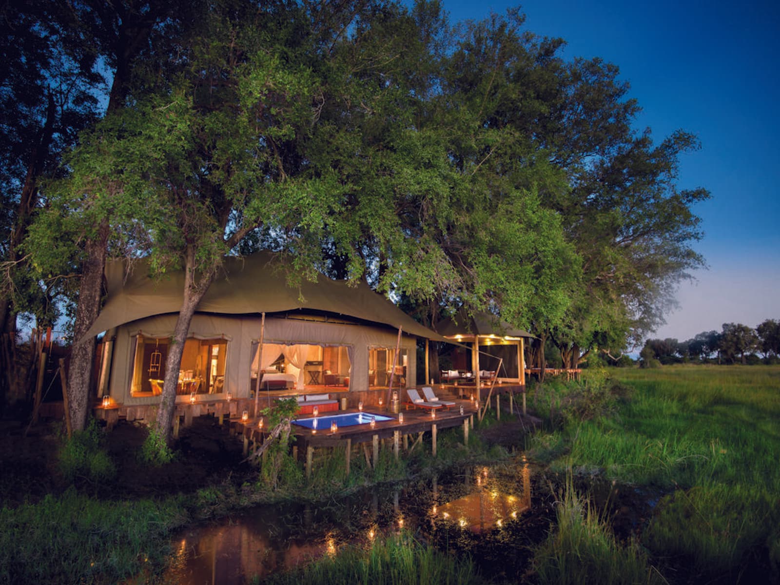 Duba Plains Camp gallery image 5