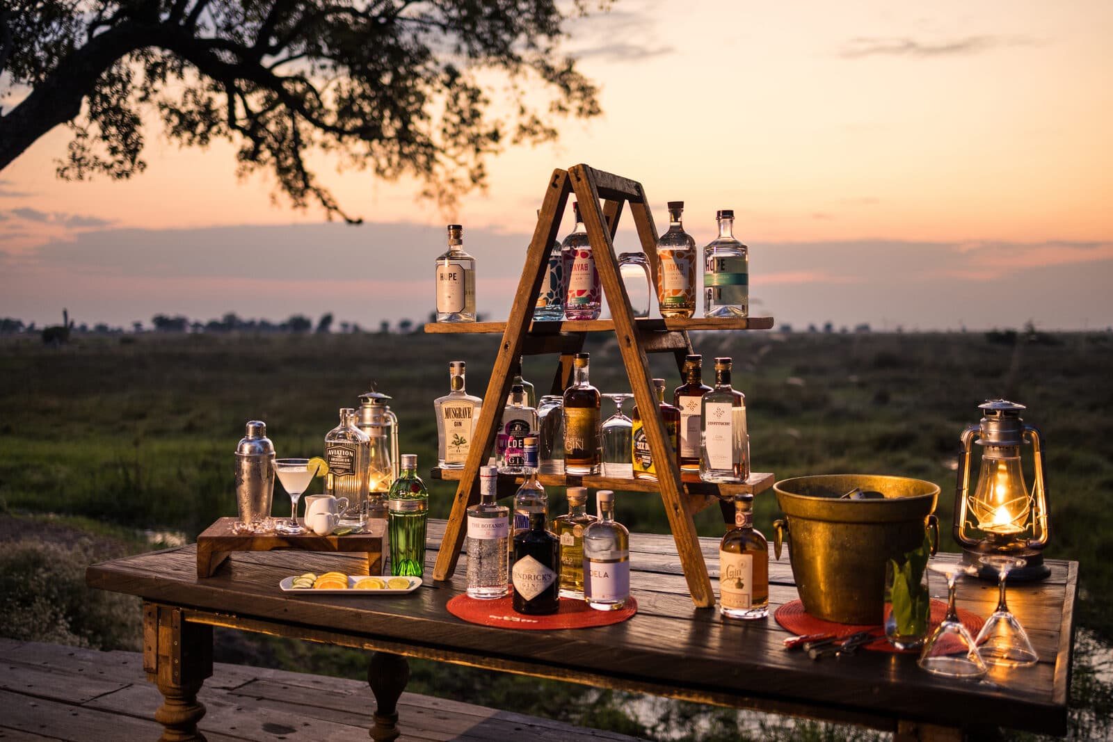 Duba Plains Camp gallery image 14