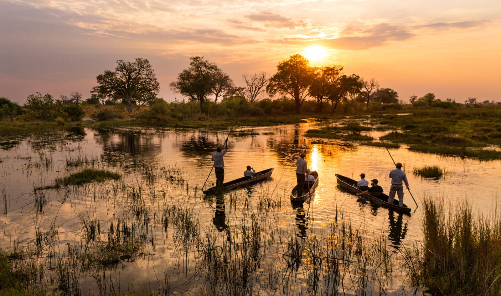 Duba Plains Camp gallery image 16
