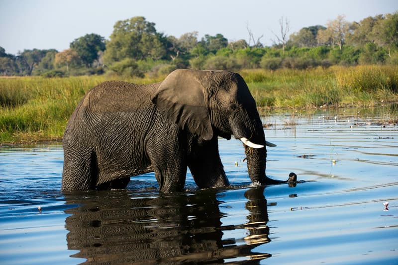 DumaTau gallery image 9