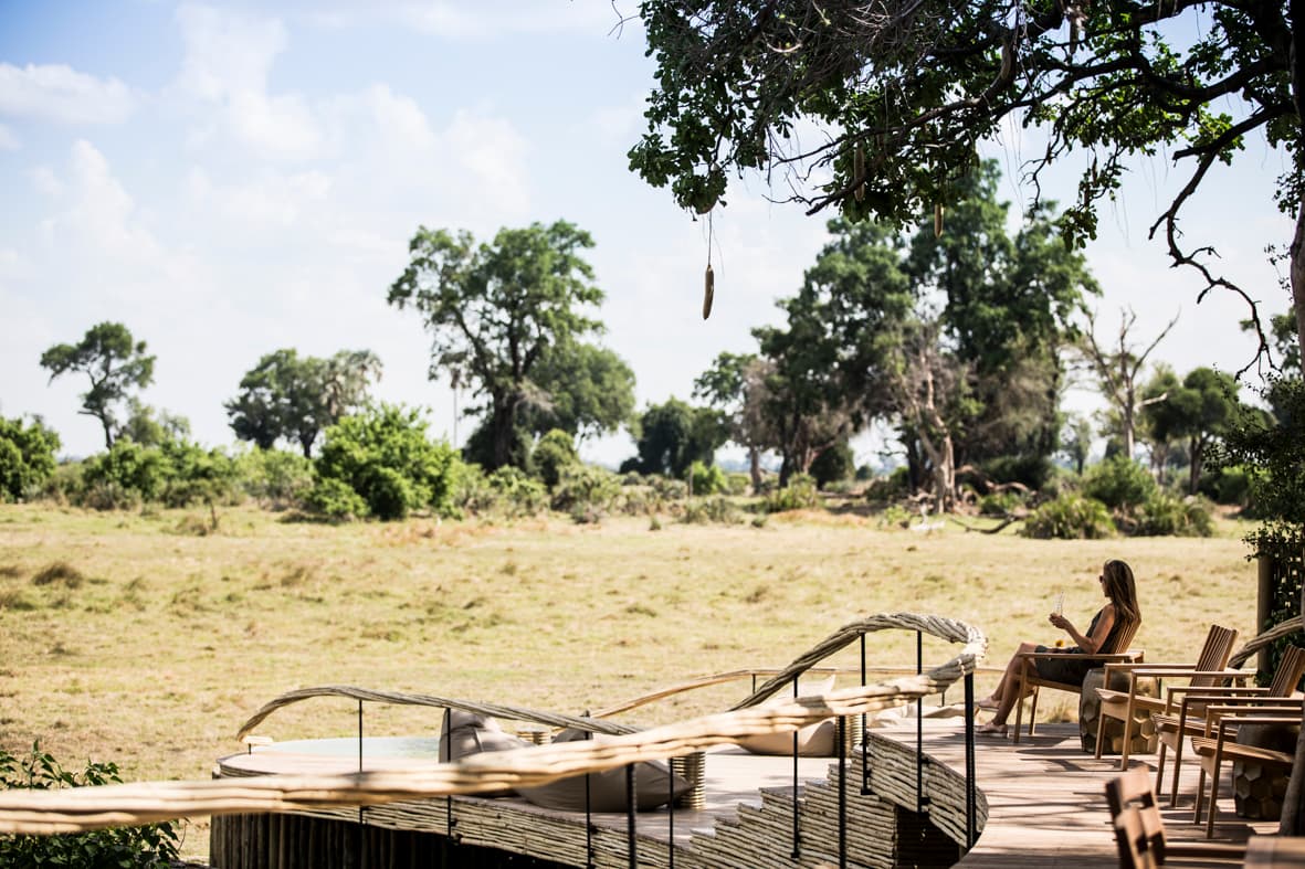 Little Mombo gallery image 3