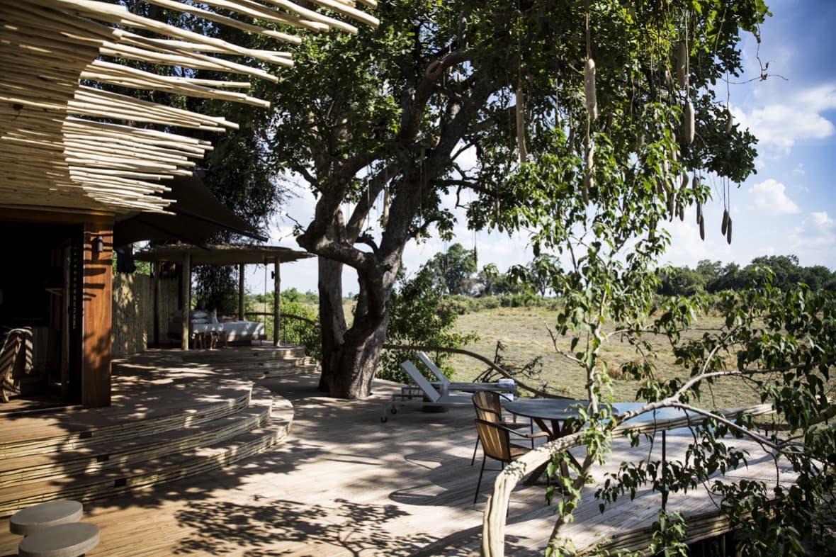 Little Mombo gallery image 4