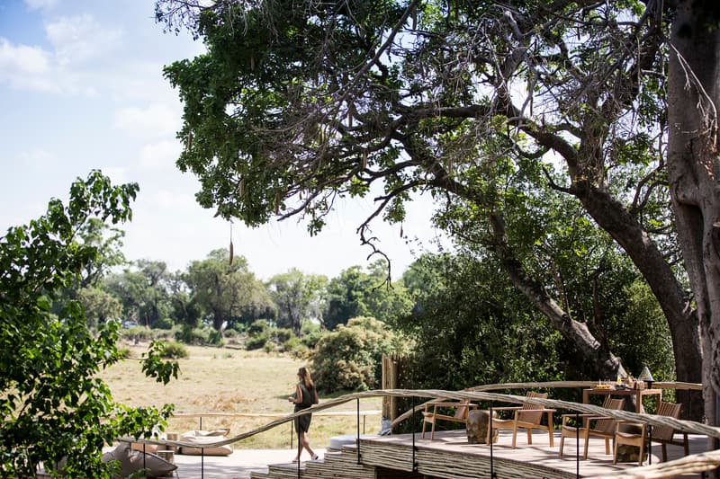 Little Mombo gallery image 8