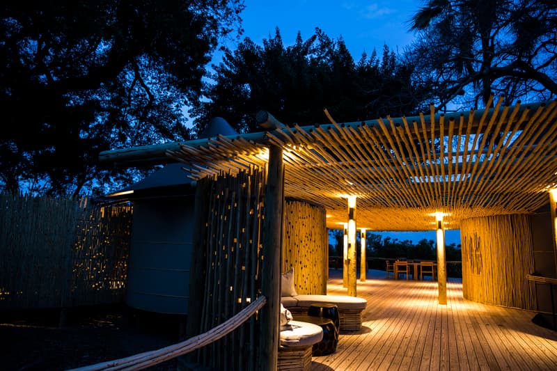 Little Mombo gallery image 11