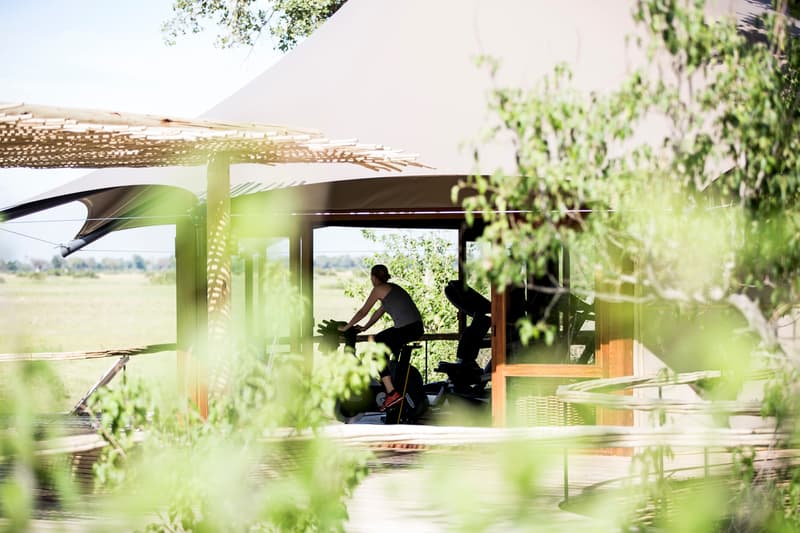 Mombo gallery image 9