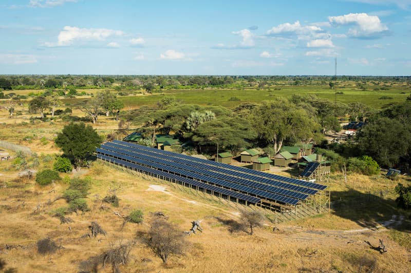 Mombo gallery image 10