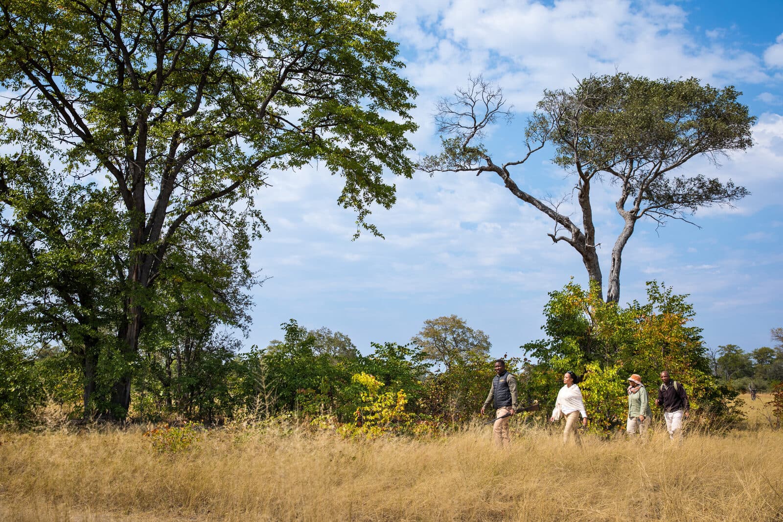 Okavango Explorers Camp gallery image 15