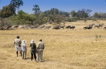 Sandibe gallery image 9