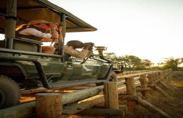 Sandibe gallery image 12