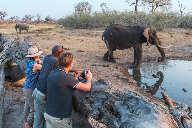 Savuti Camp gallery image 2