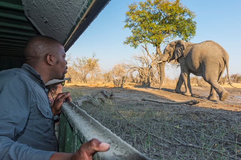 Savuti Camp gallery image 4