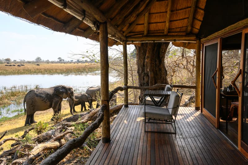 Savuti Camp gallery image 6