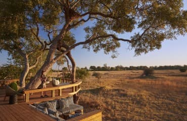 Tuludi gallery image 12