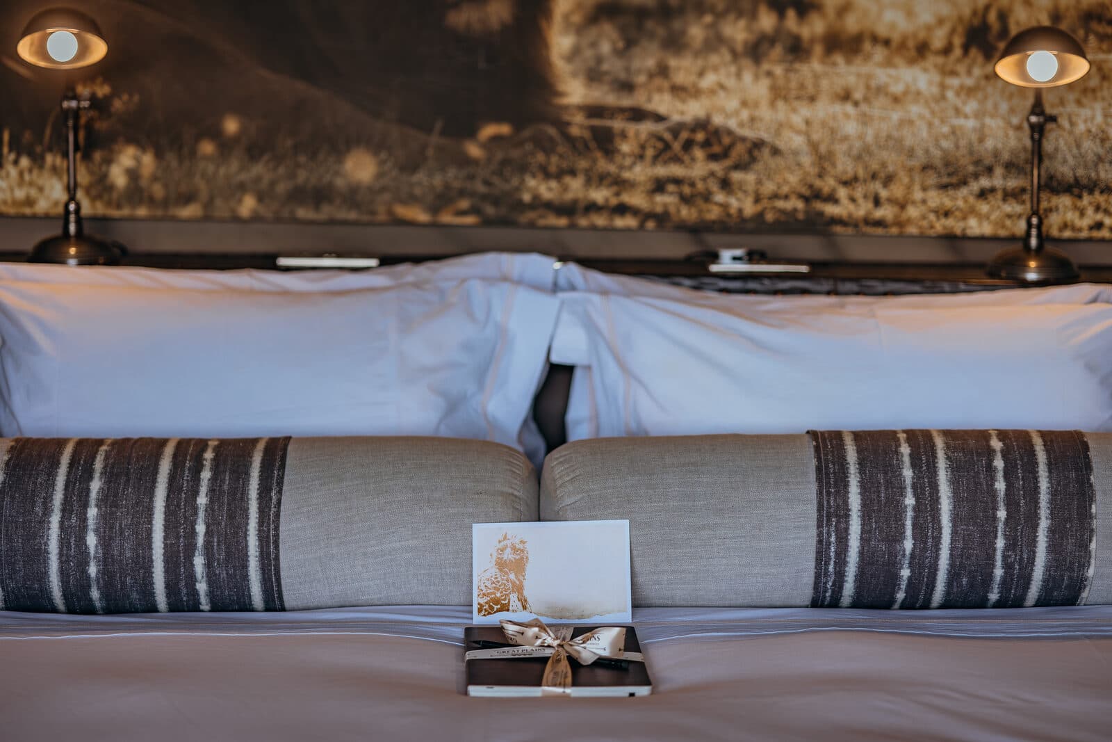 Encounter Mara gallery image 3