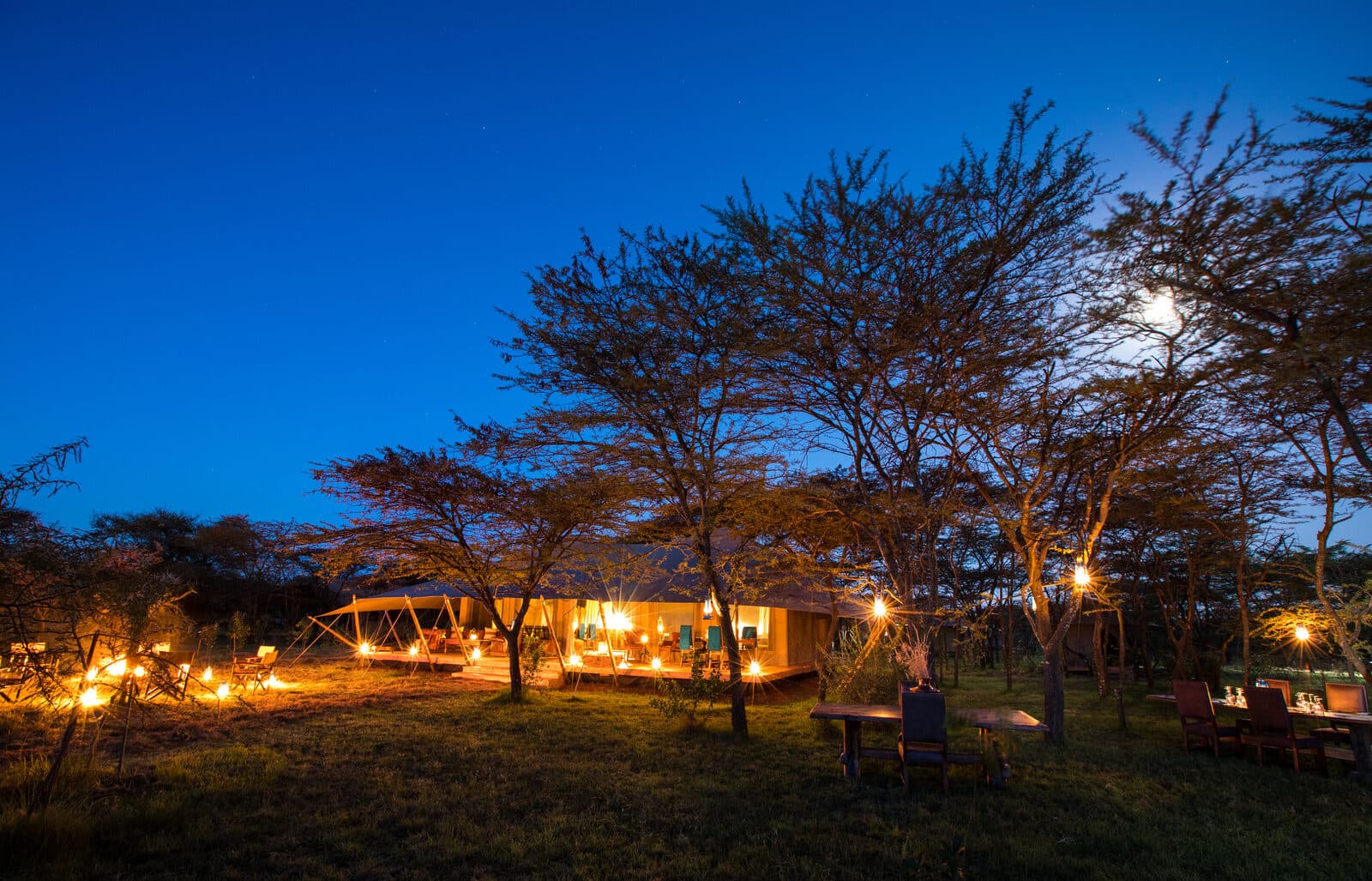 Encounter Mara gallery image 11