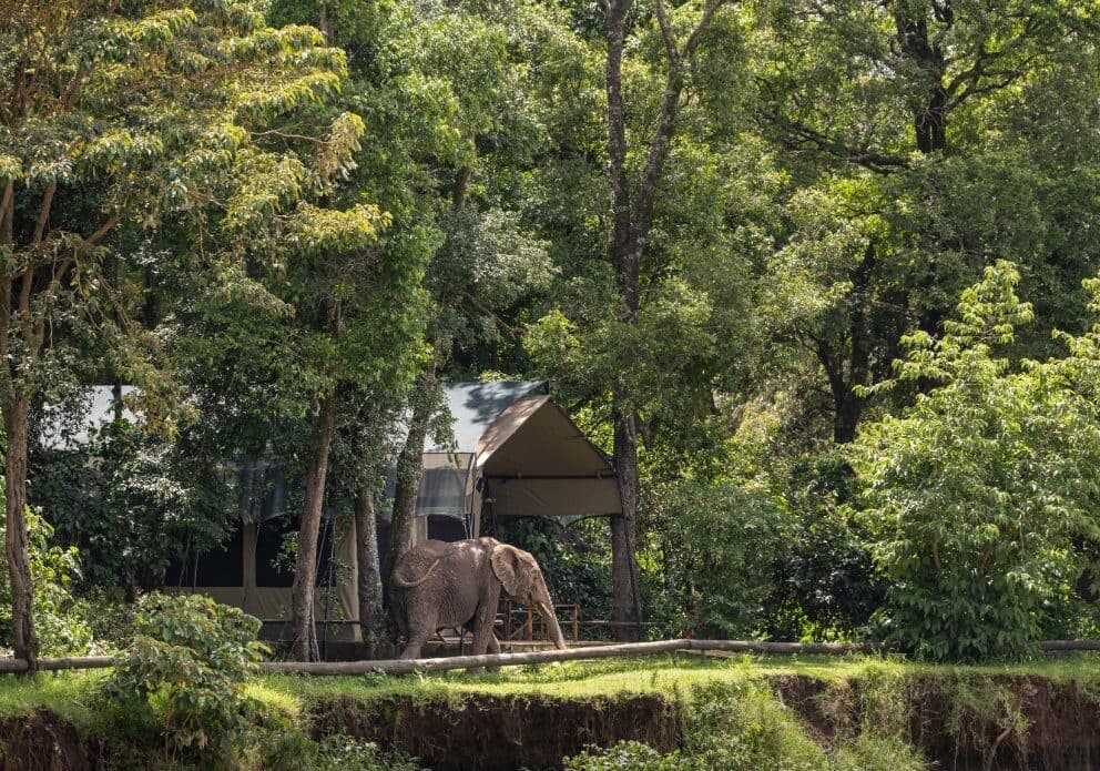 Governors' Camp gallery image 6