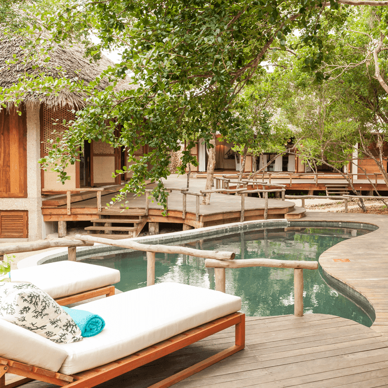 Papilio gallery image 4