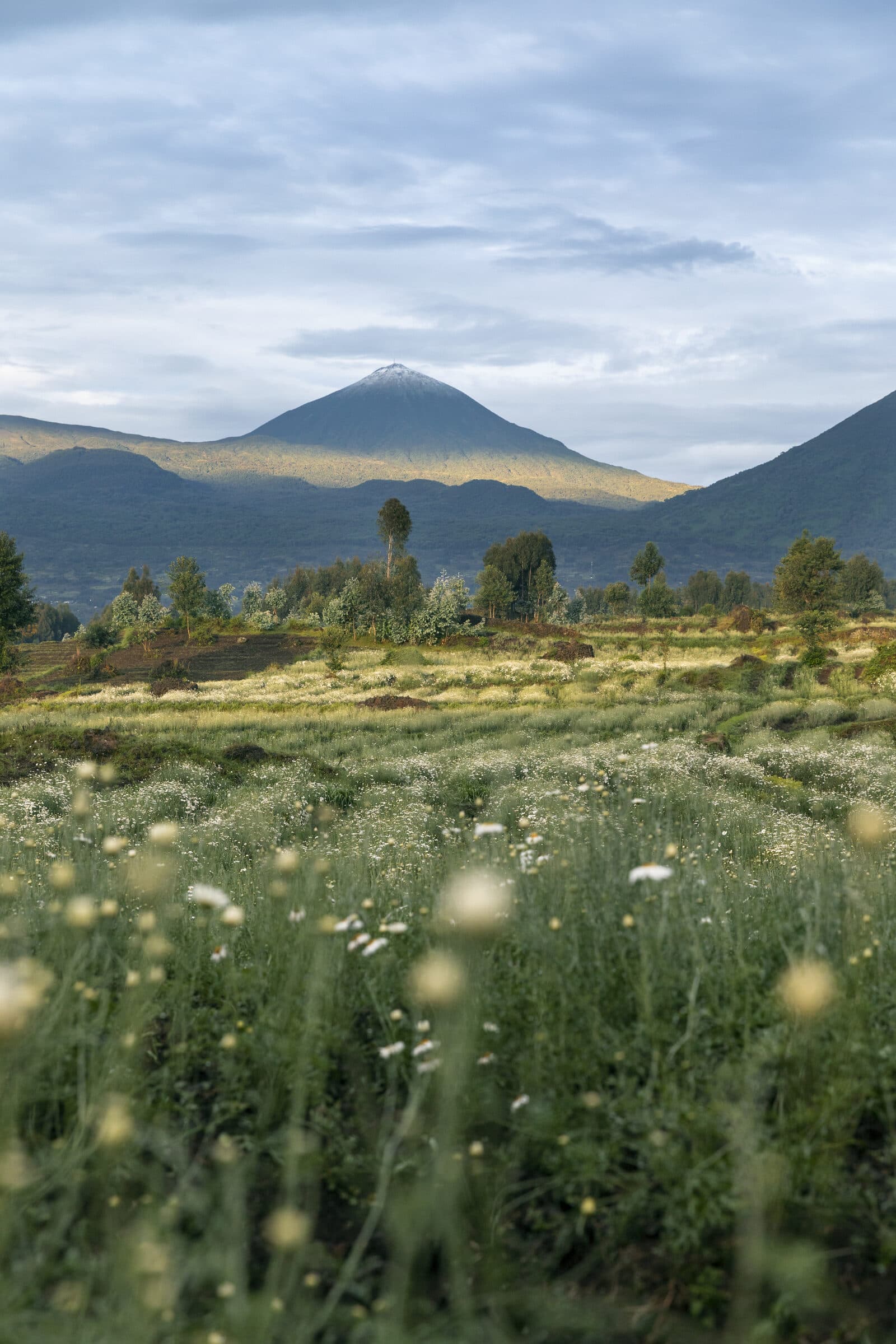 Bisate Lodge gallery image 2