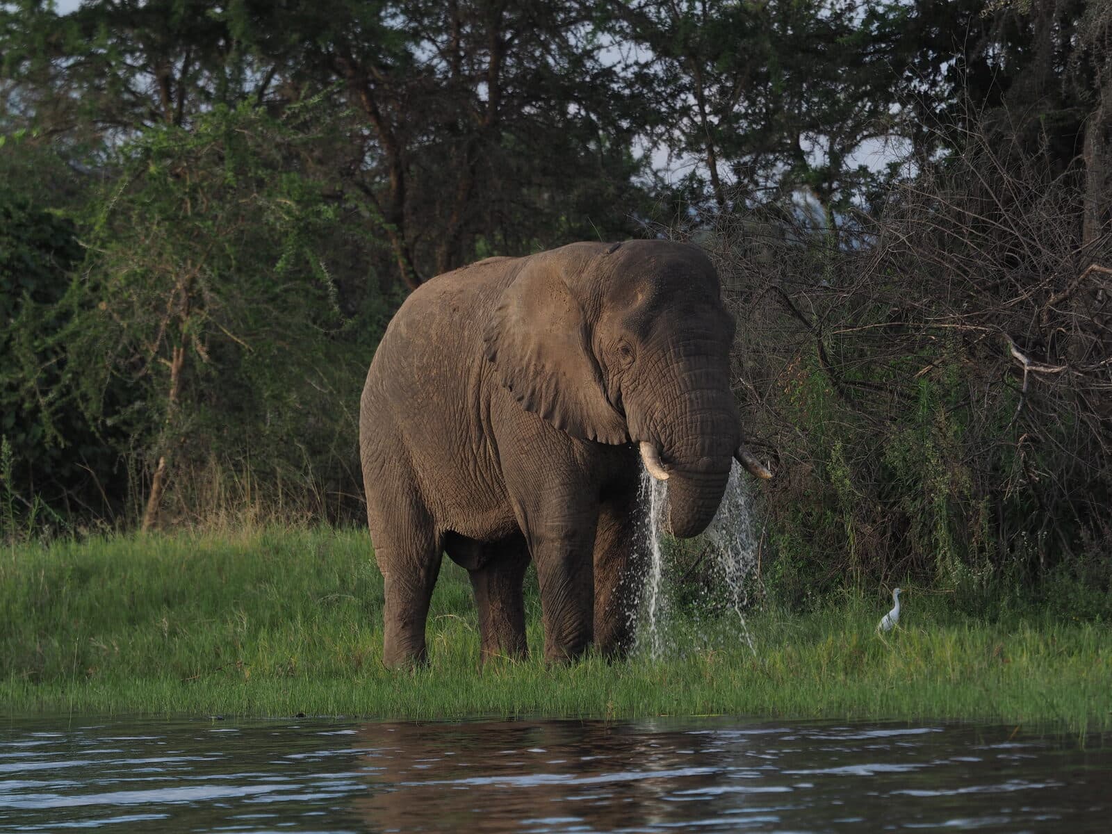 Magashi Camp gallery image 11