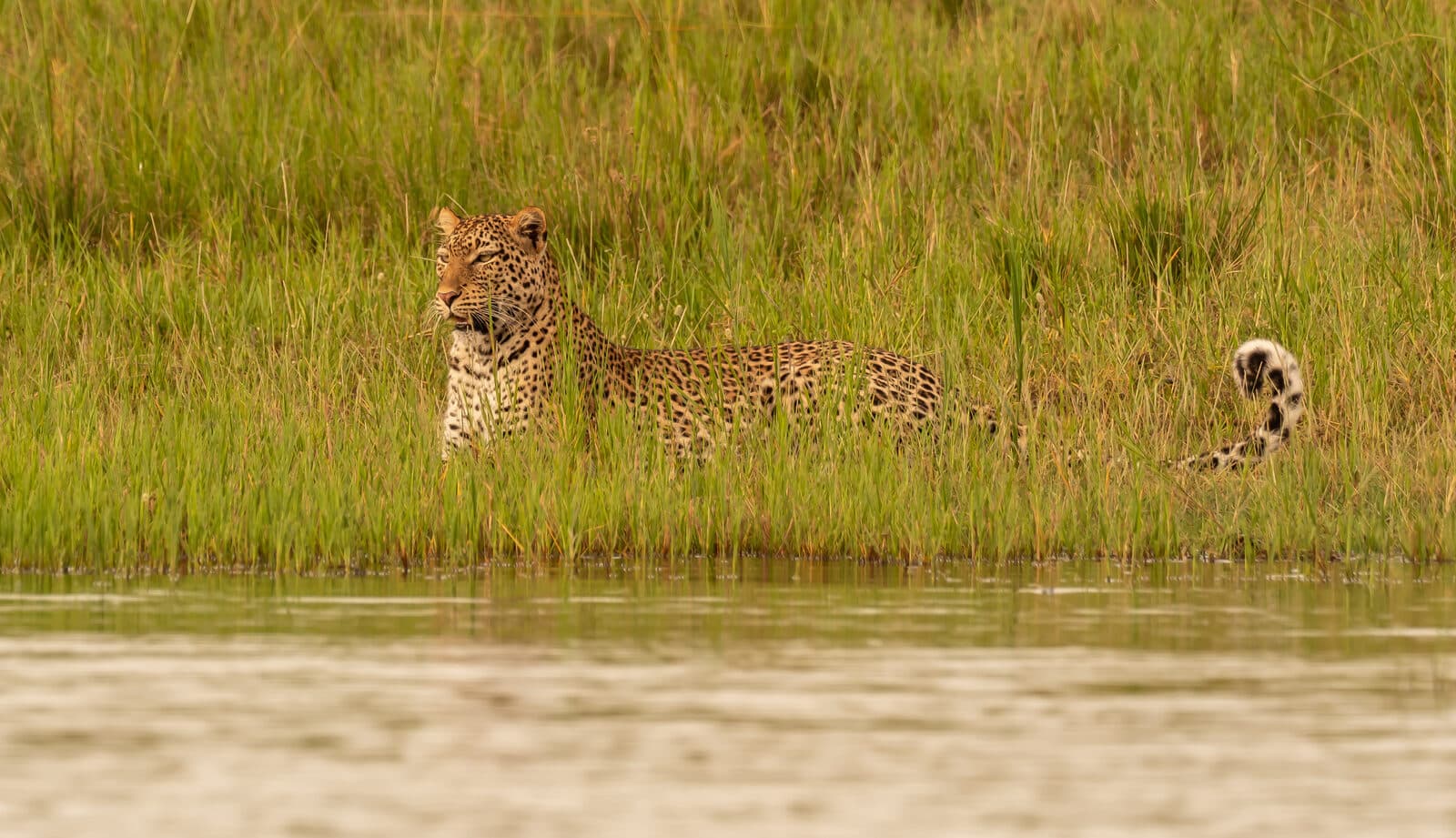 Magashi Camp gallery image 12