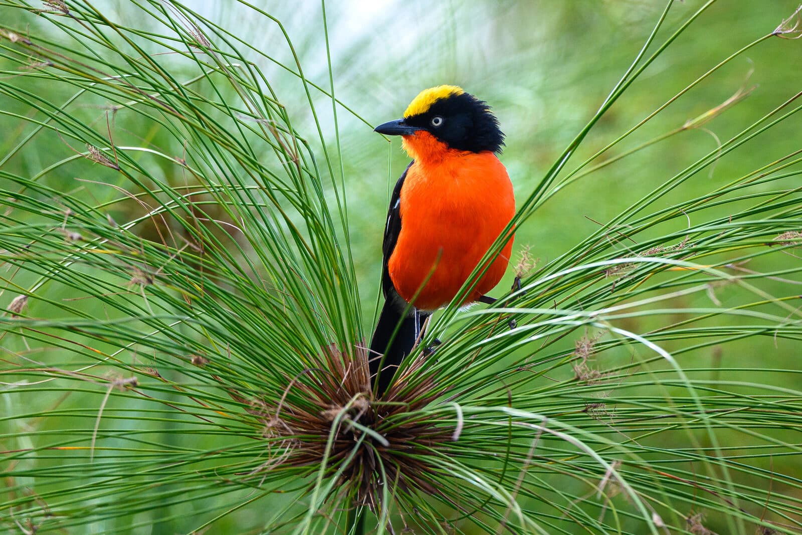 Magashi Camp gallery image 20