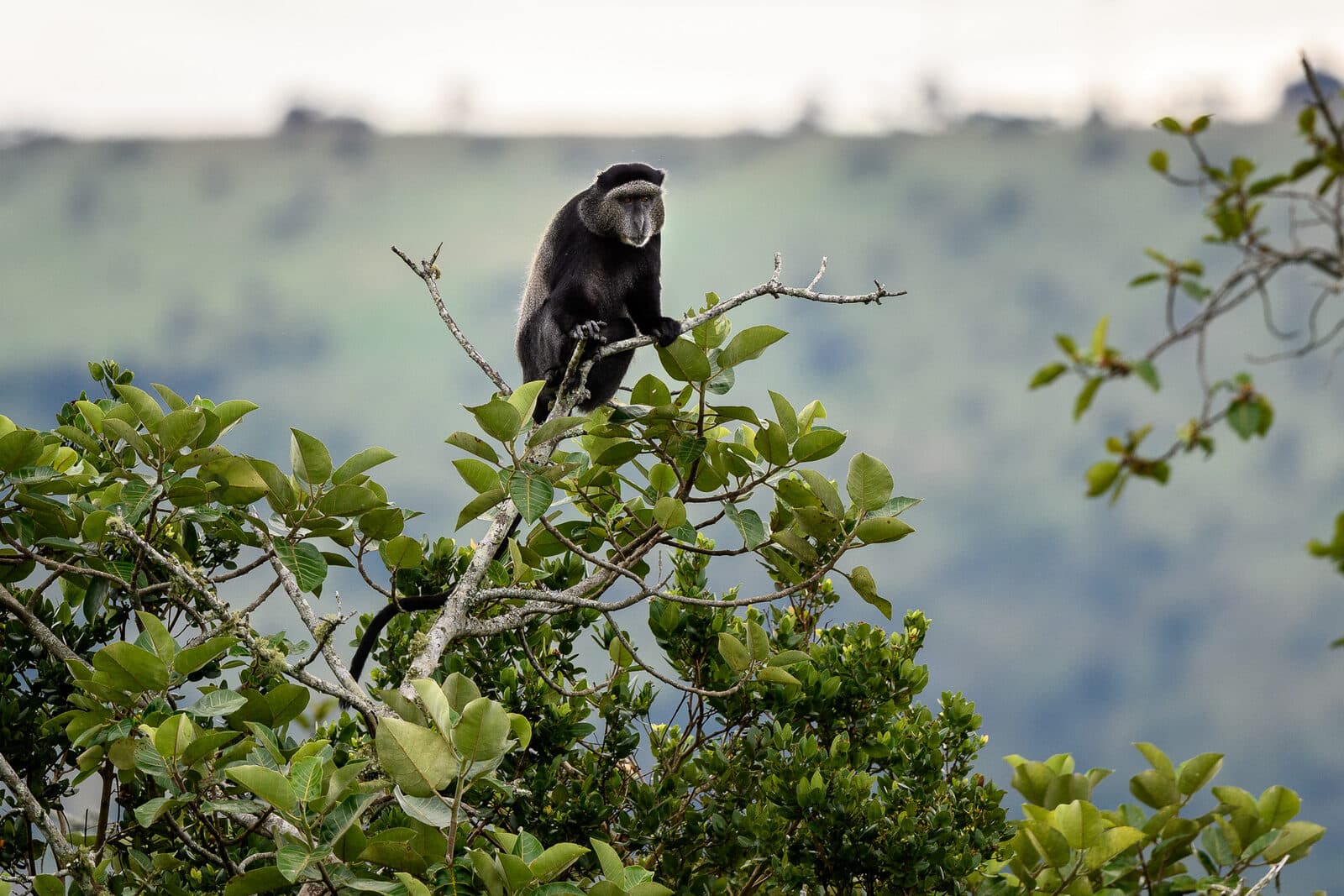 Magashi Camp gallery image 21