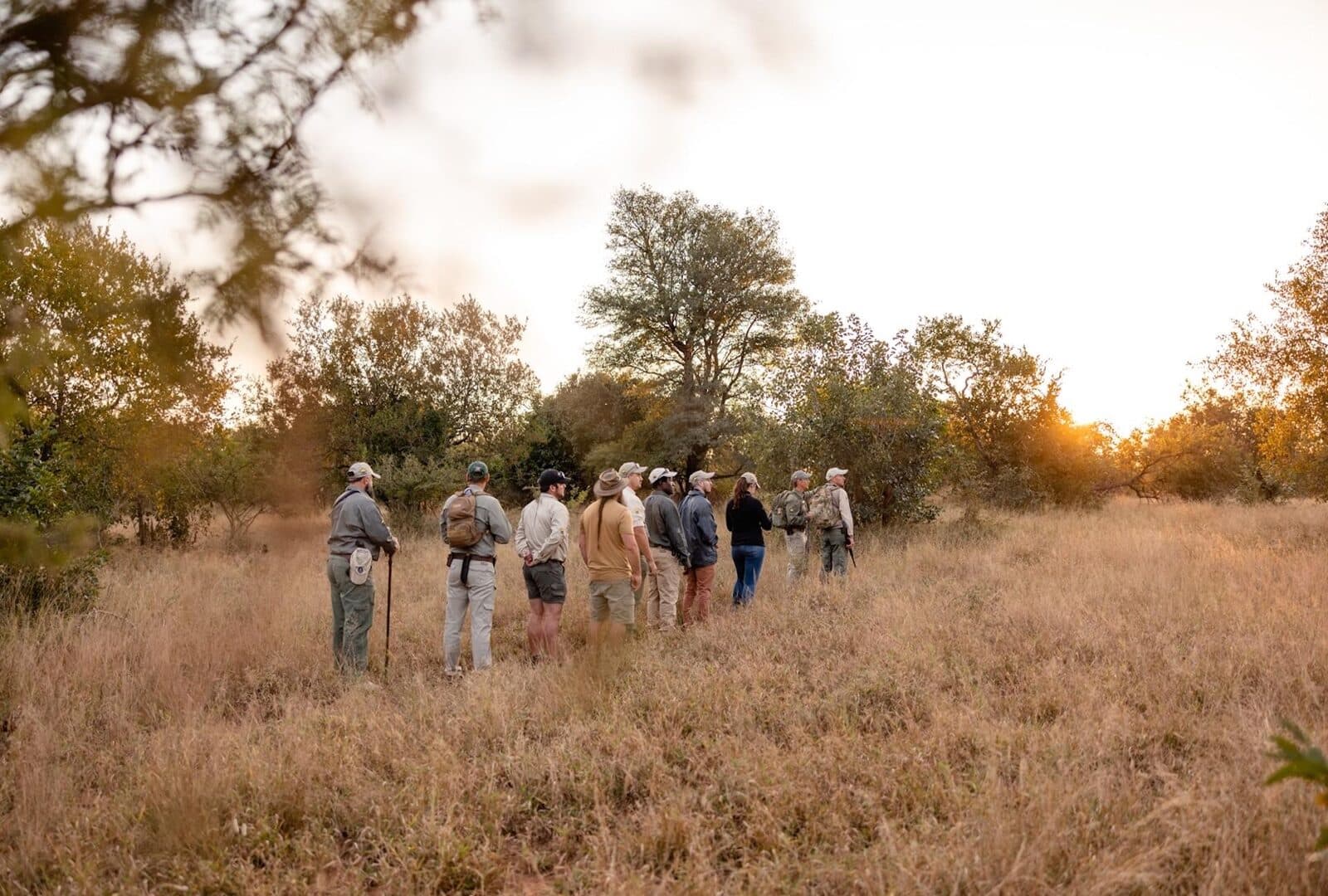 Kapama River Lodge gallery image 3