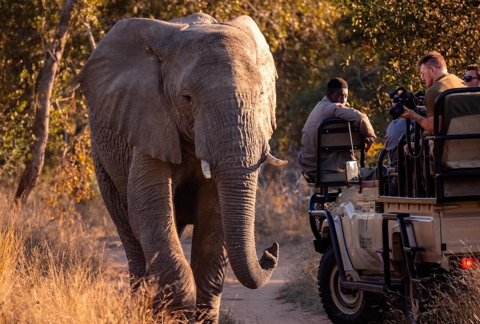 Kapama River Lodge gallery image 4