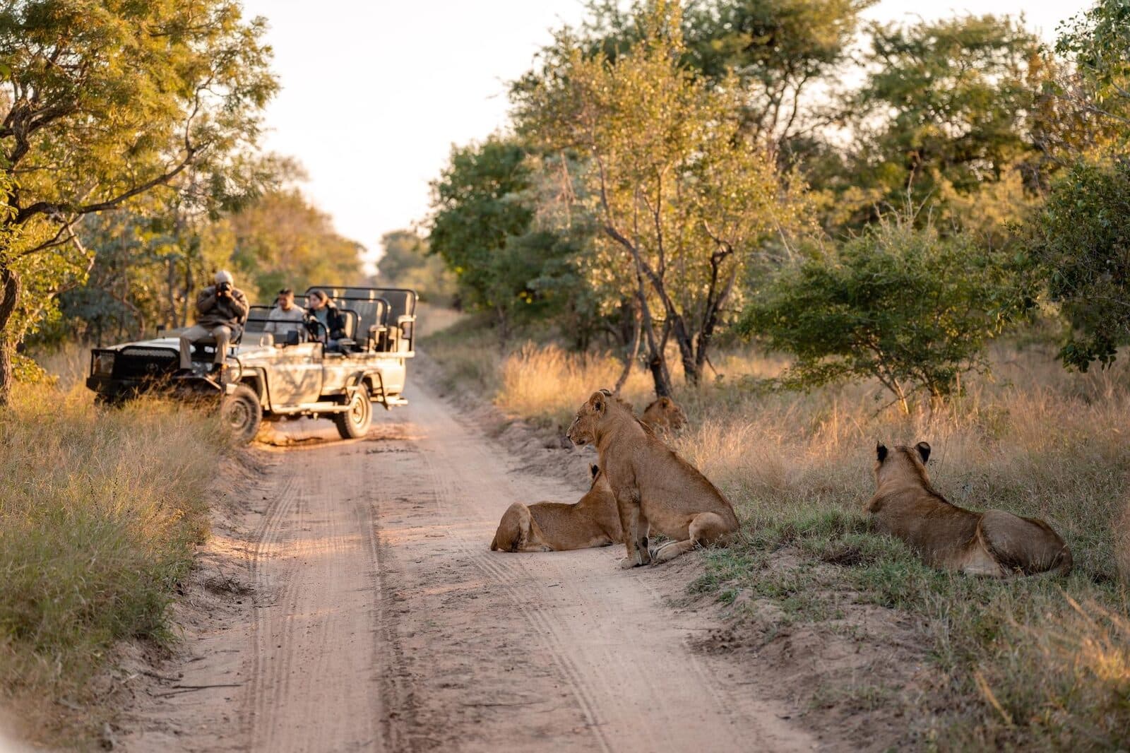 Kapama River Lodge gallery image 7