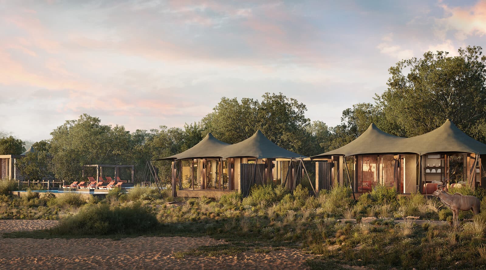 Ngala Tented Camp gallery image 2