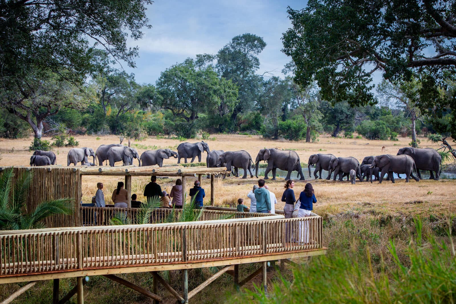 Sabi Sabi Bush Lodge gallery image 5