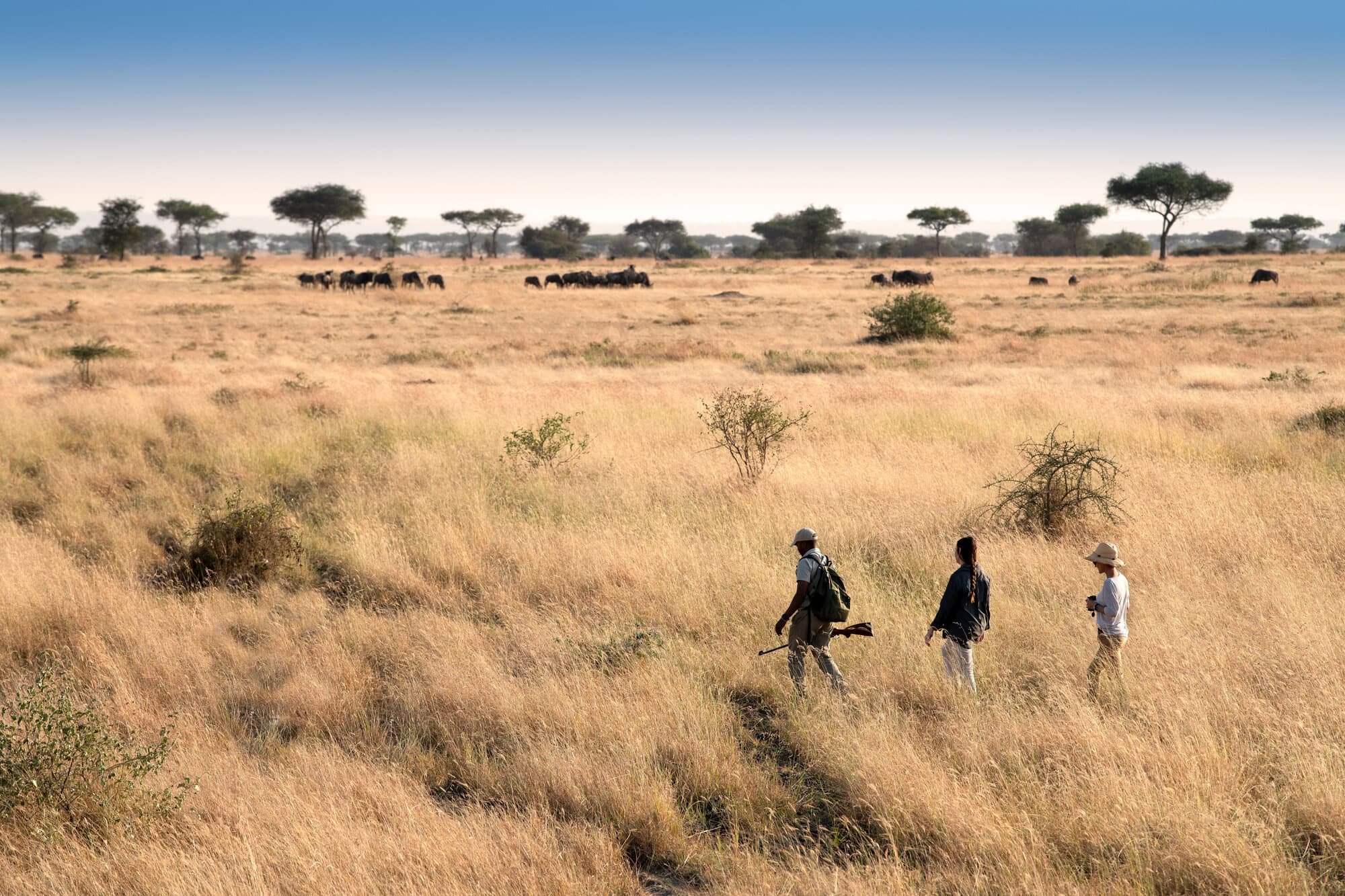 Grumeti Serengeti Tented Camp gallery image 5