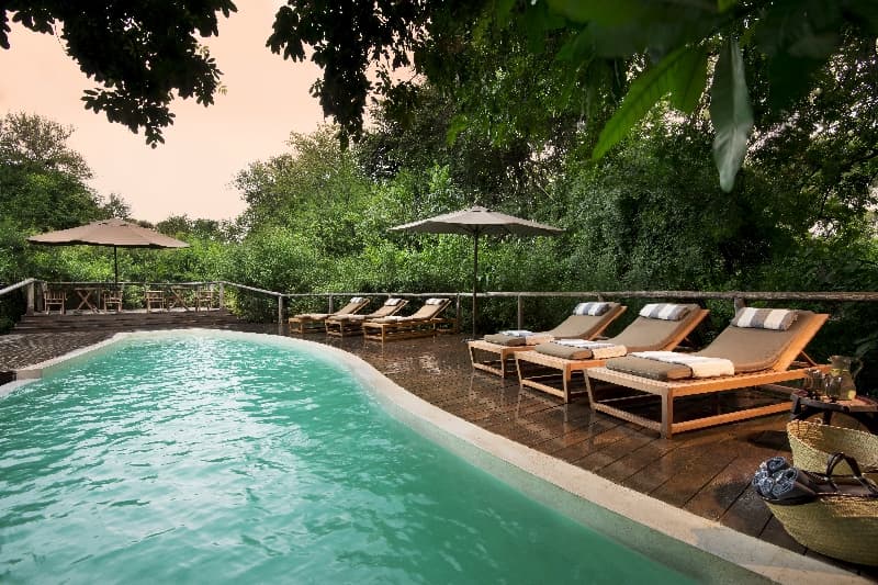 Lake Manyara Tree Lodge gallery image 3