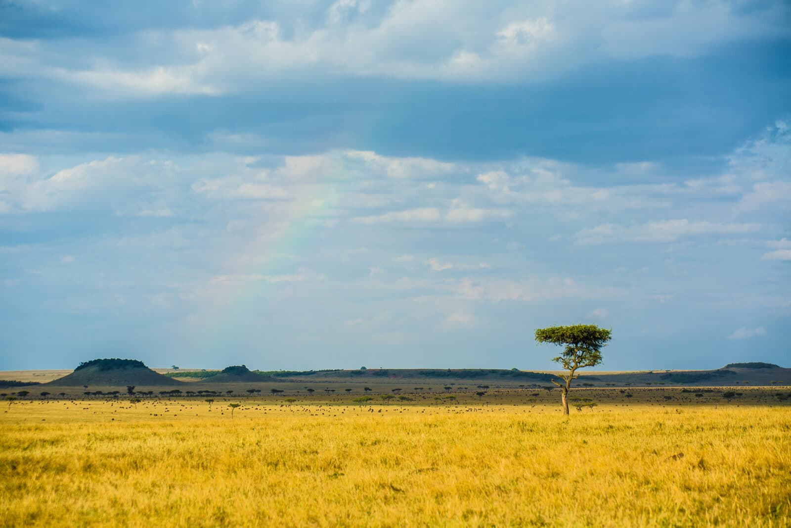 Sayari Camp gallery image 8