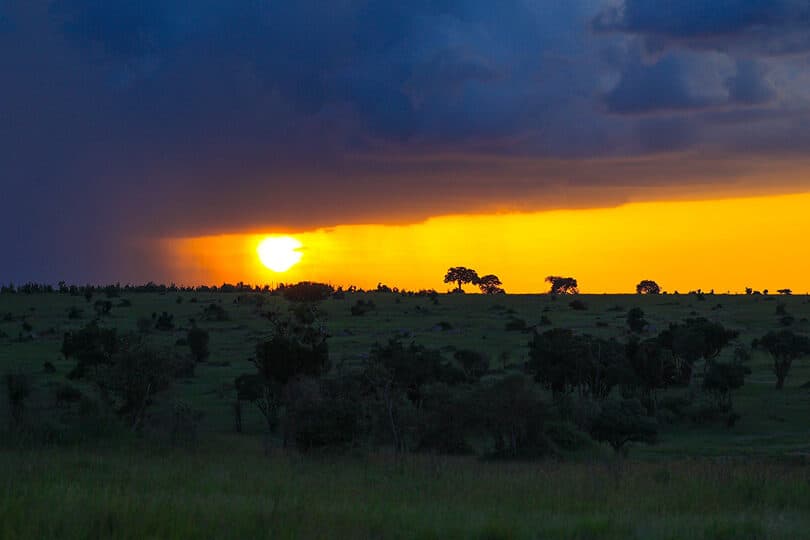 Sayari Camp gallery image 10