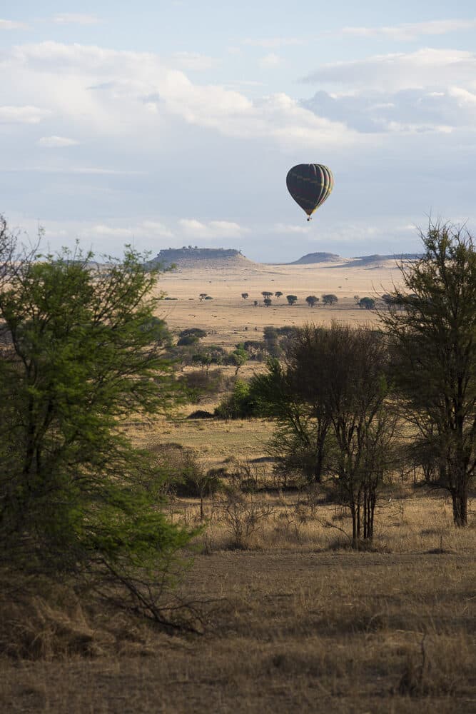 Sayari Camp gallery image 14