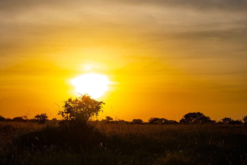 Sayari Camp gallery image 16