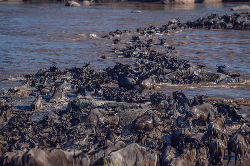 Sayari Camp gallery image 17