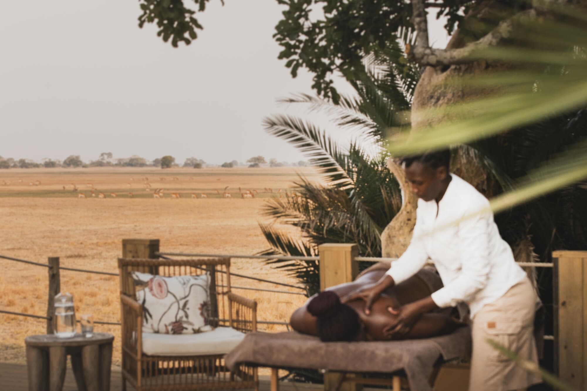 Busanga Bush Camp gallery image 14