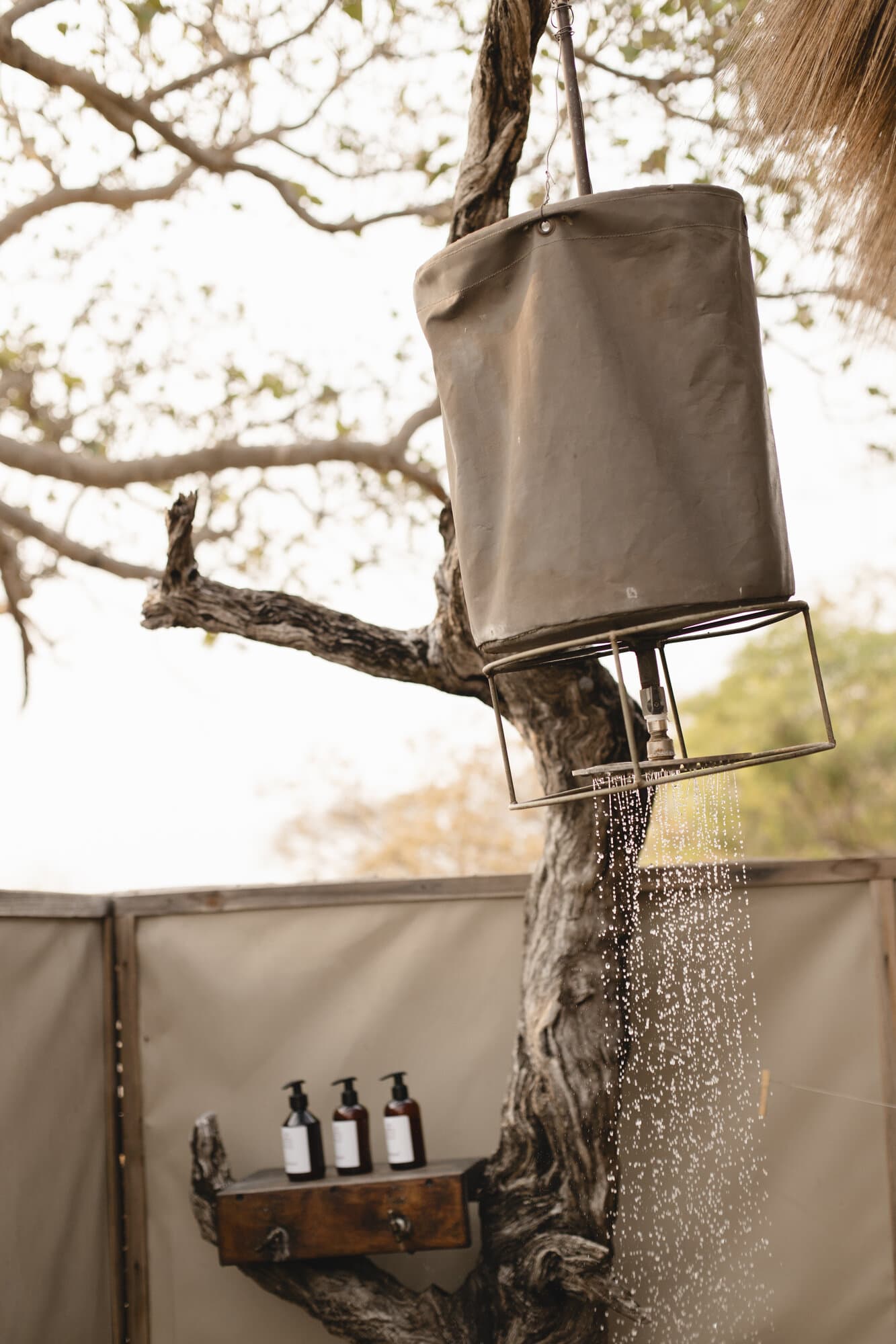 Shumba Camp gallery image 8