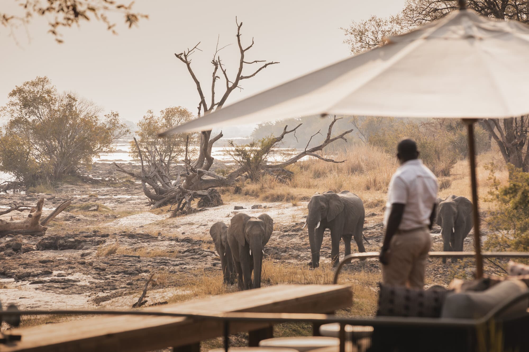 Toka Leya gallery image 9