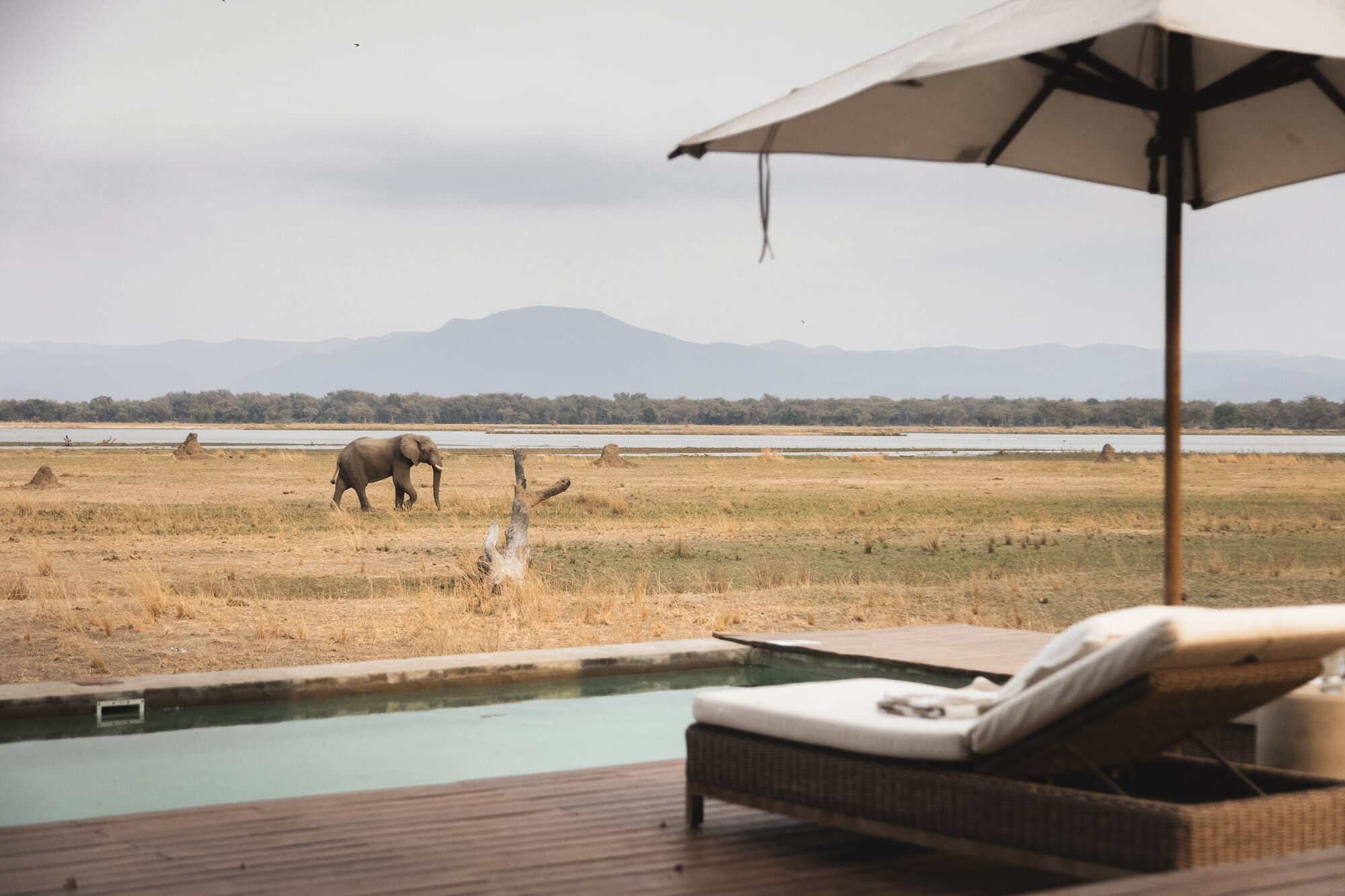 Chikwenya gallery image 7