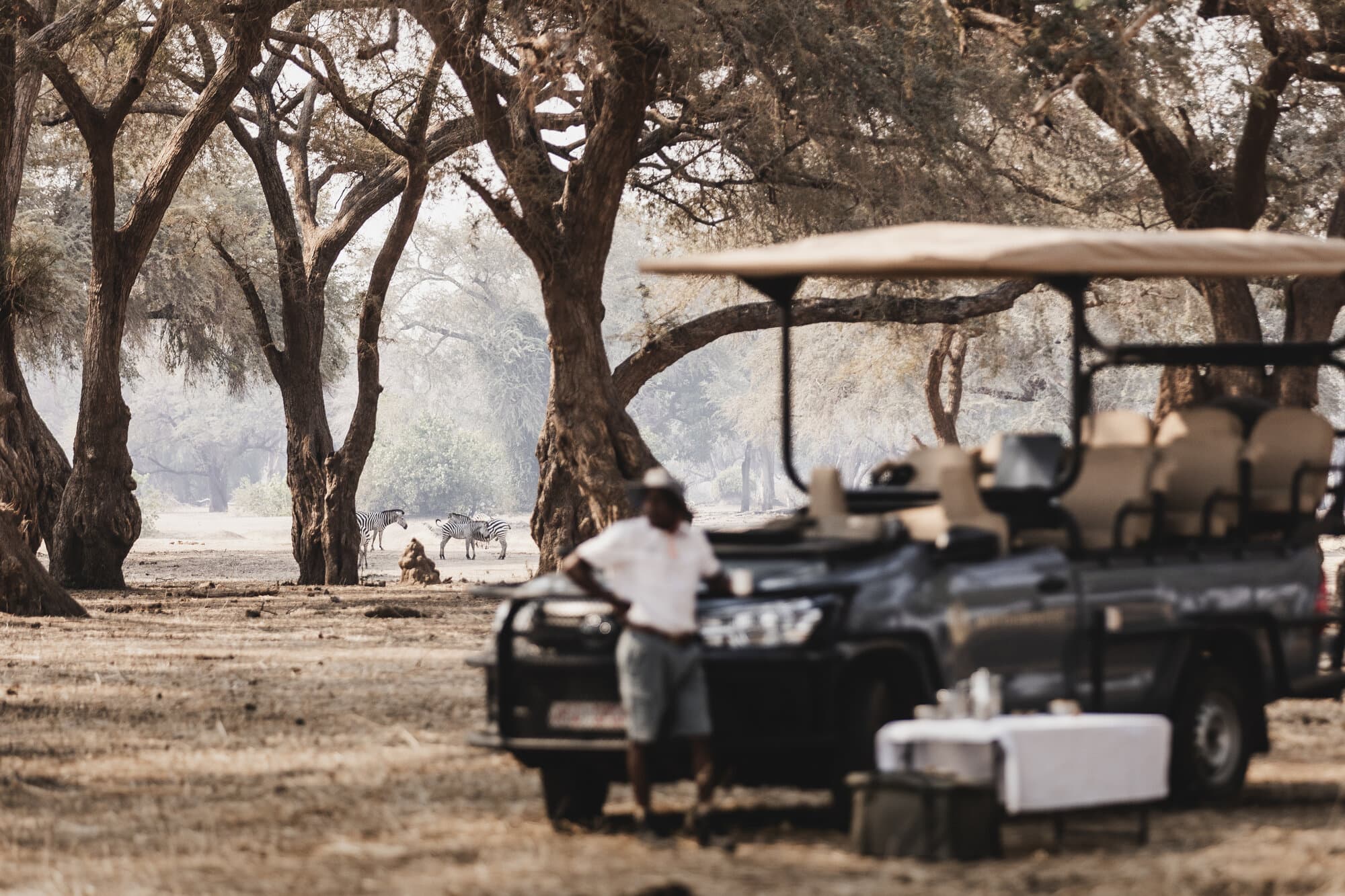 Chikwenya gallery image 9