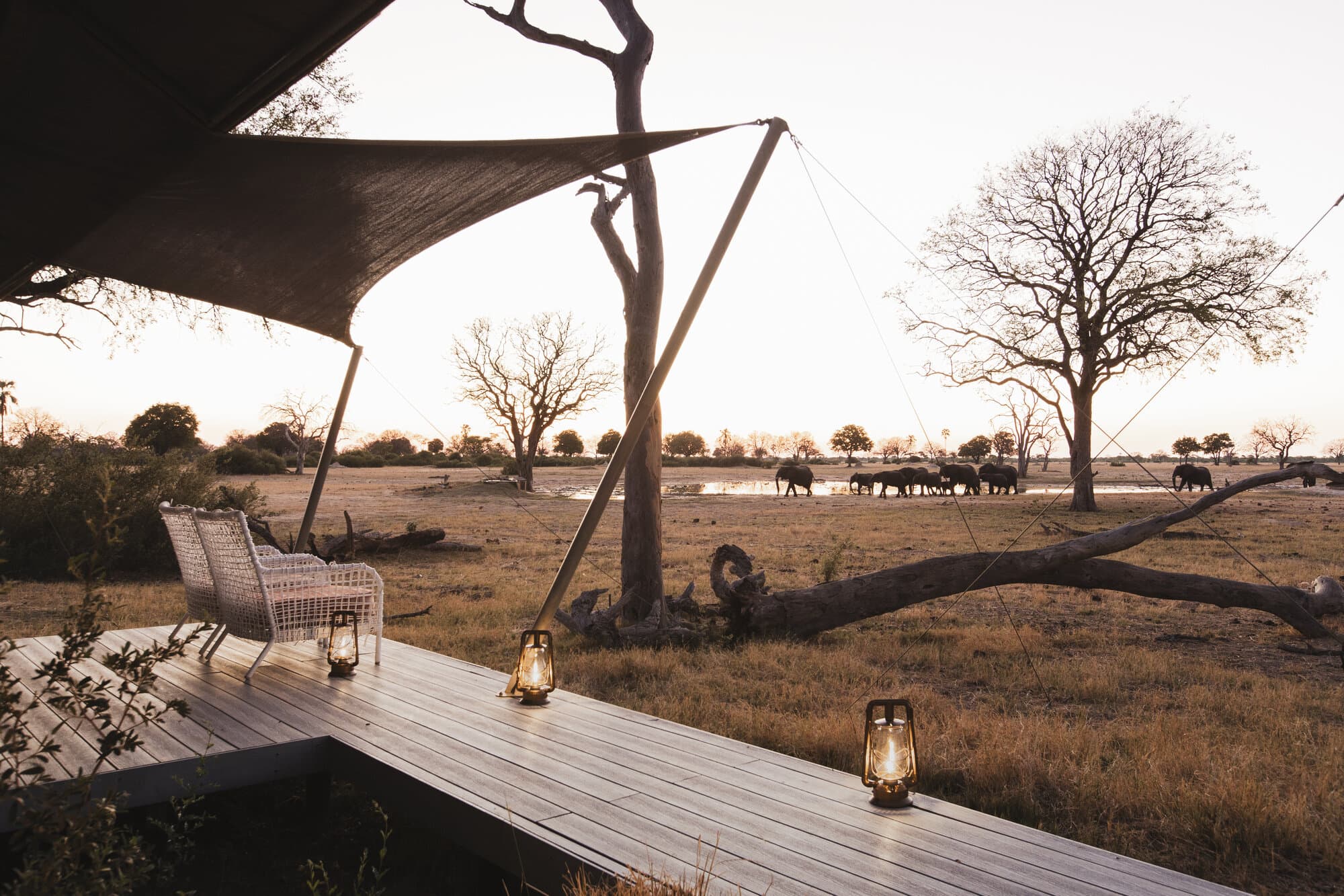 Linkwasha Camp gallery image 5