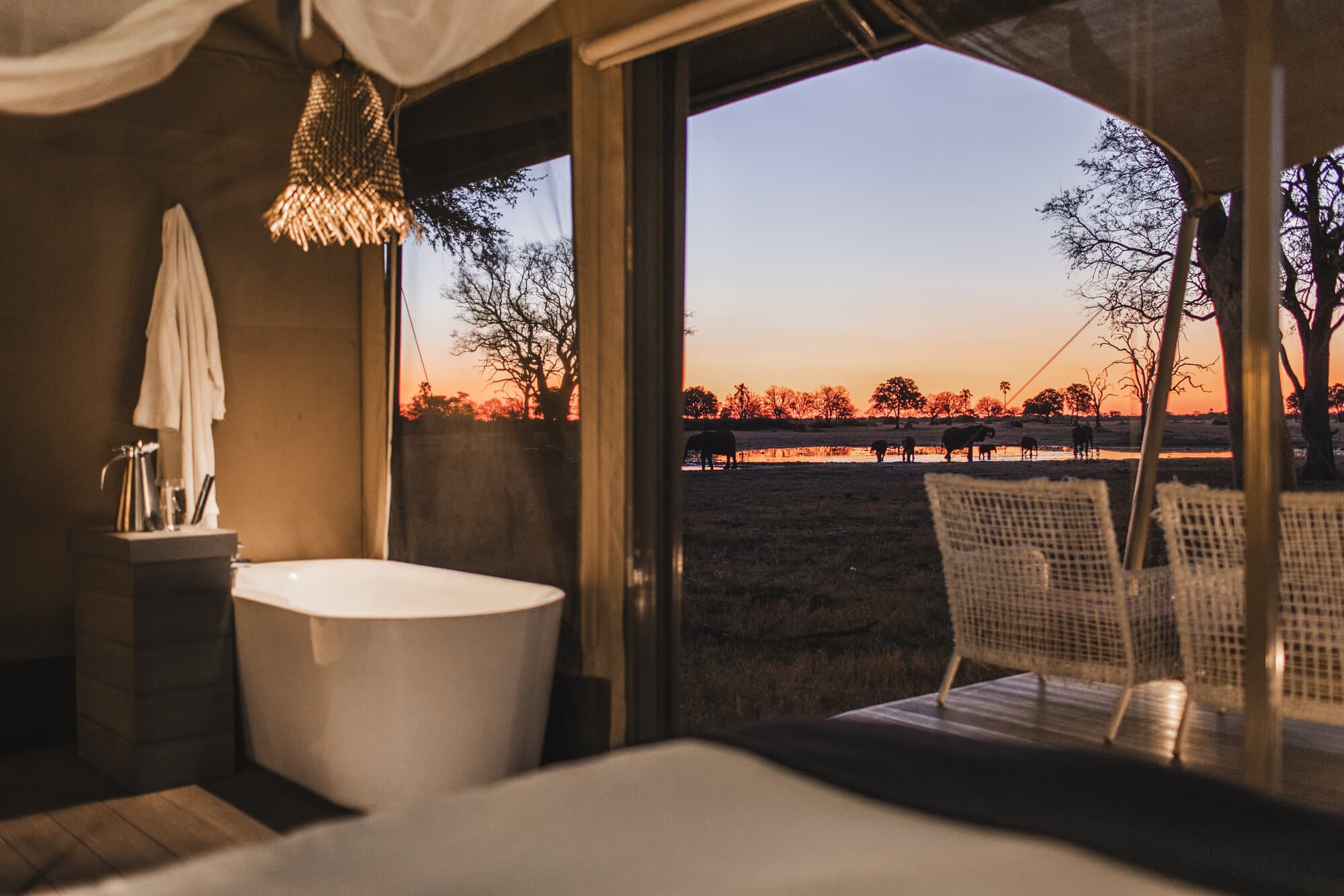 Linkwasha Camp gallery image 7