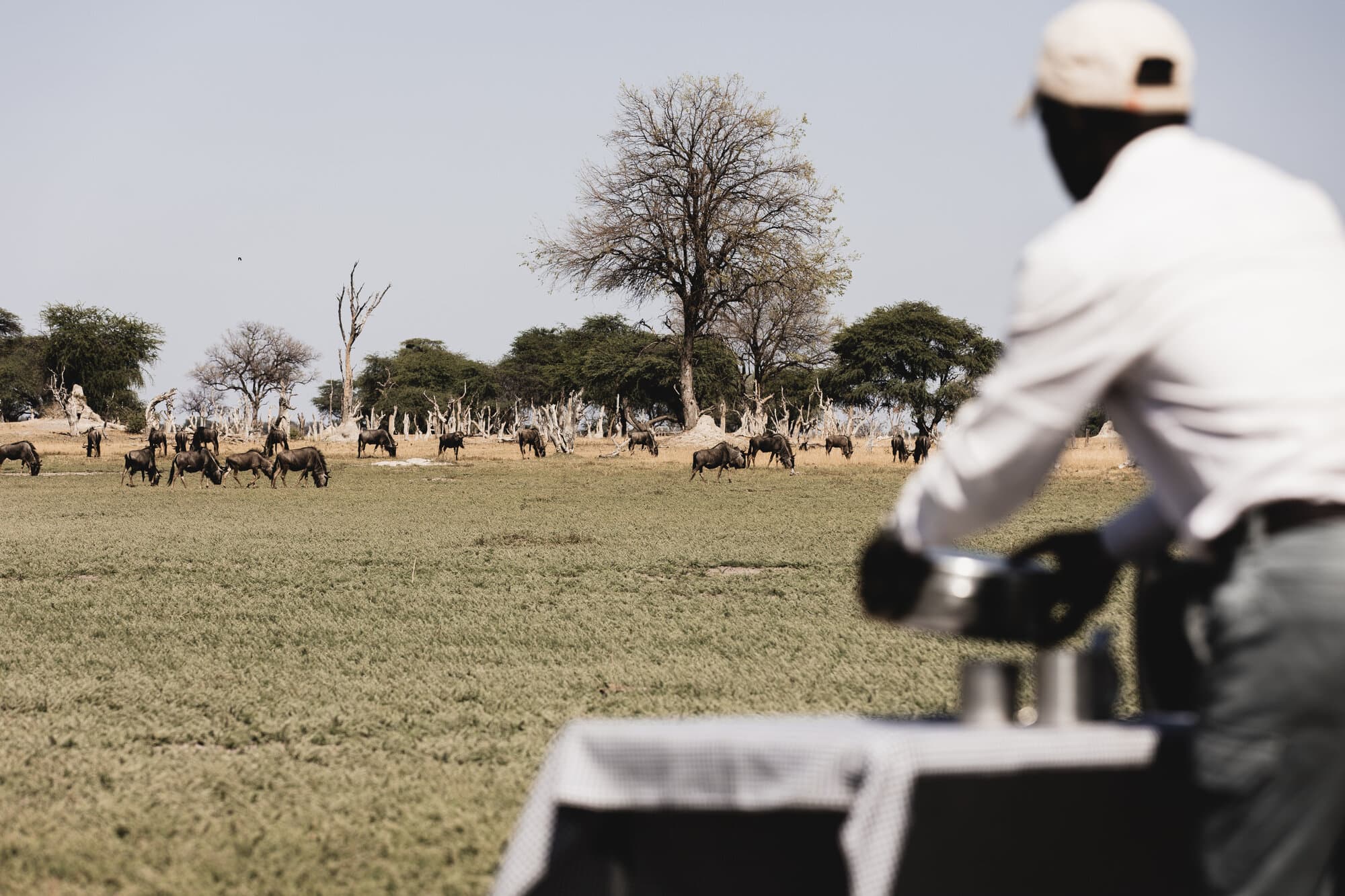 Linkwasha Camp gallery image 9