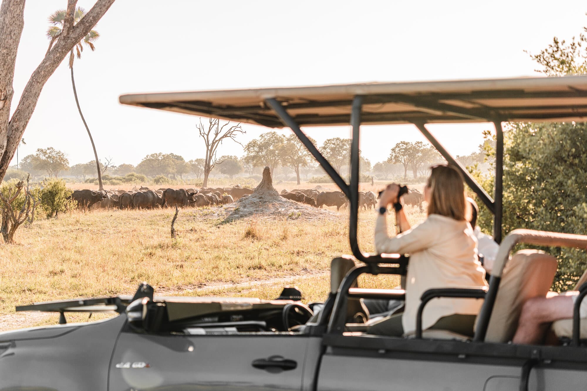 Linkwasha Camp gallery image 12