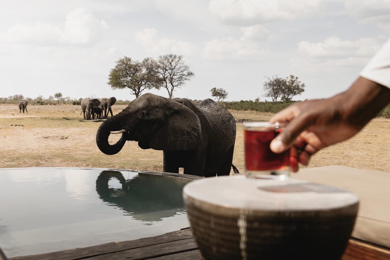 Little Makalolo Camp gallery image 3