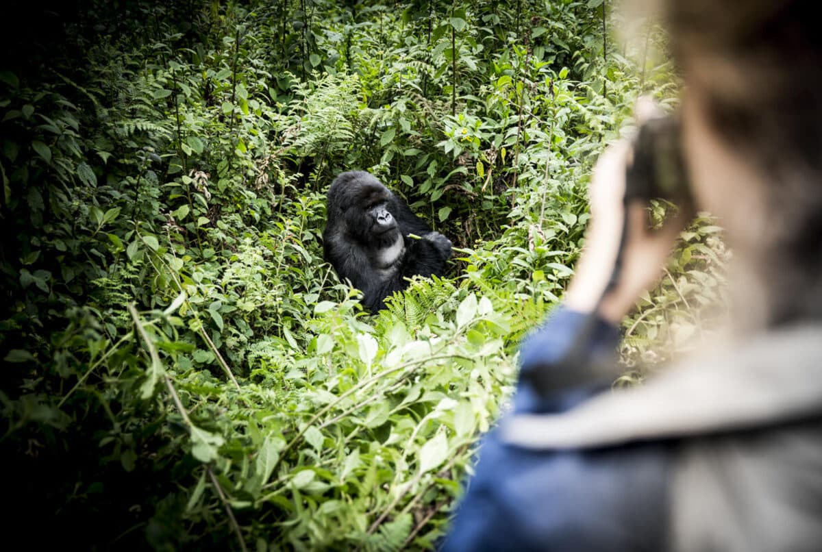 A Once-in-a-Lifetime Trek
