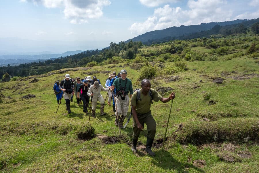 Trekking group hiking up towards the gorilla families